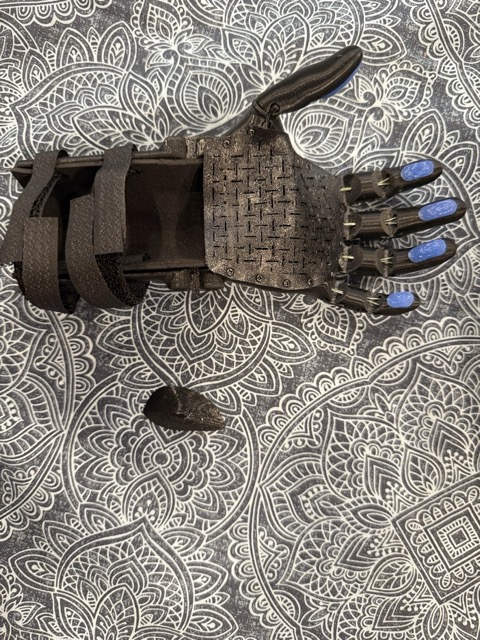 The completed arm laid flat, top-down view