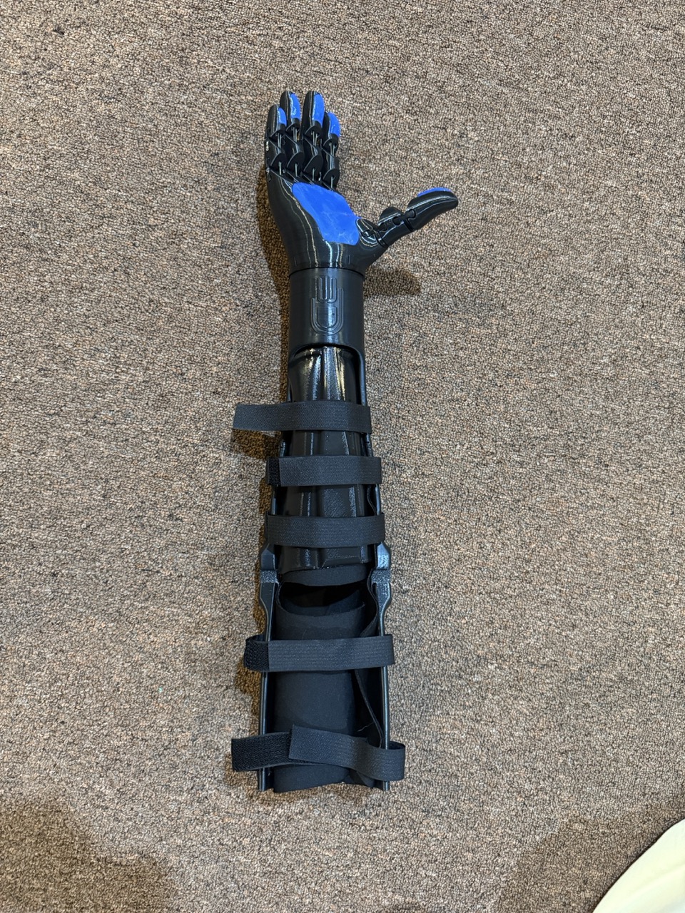 E.F.'s arm fully assembled, black and navy kinetic arm on carpet